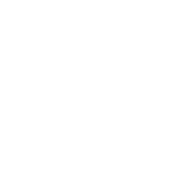 ASML Holding N.V. New York Registry Shares Share Price